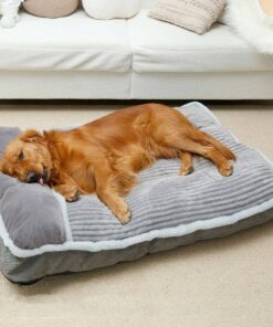 Pet Beds